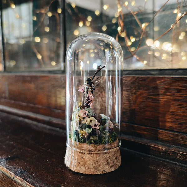 Insect Garden in 8cm Cork Dome