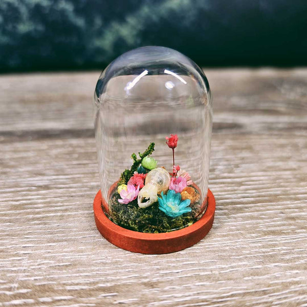 Tiny Bat Skull Garden in Miniature Glass Dome