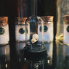 Tiny Bat Skull Mounted in 5cm Tall Glass Dome