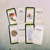 Mushroom Affirmations Mini Cards