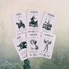 Occult Tarot Pocket Edition