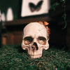 Mushroom Growth Skull Sculpture