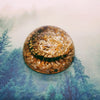 Centipede + Pebbles Embedded in Resin Dome 60mm