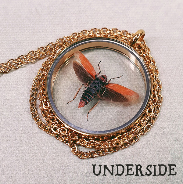 Encapsulated Insect in Round Glass Locket