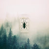 Spotted Longhorn Beetle Embedded in Resin 74mm