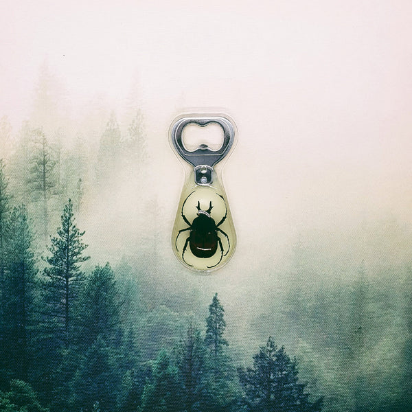 Antler-Horned Beetle Embedded in Resin Bottle Opener