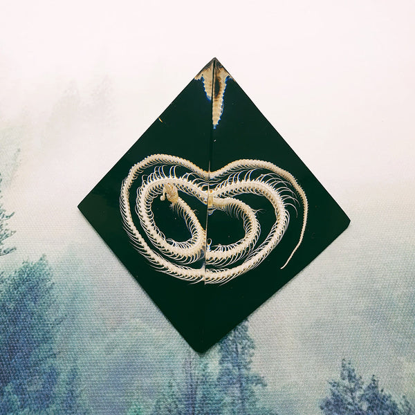 Snake Skeleton Embedded in Resin Pyramid 85mm