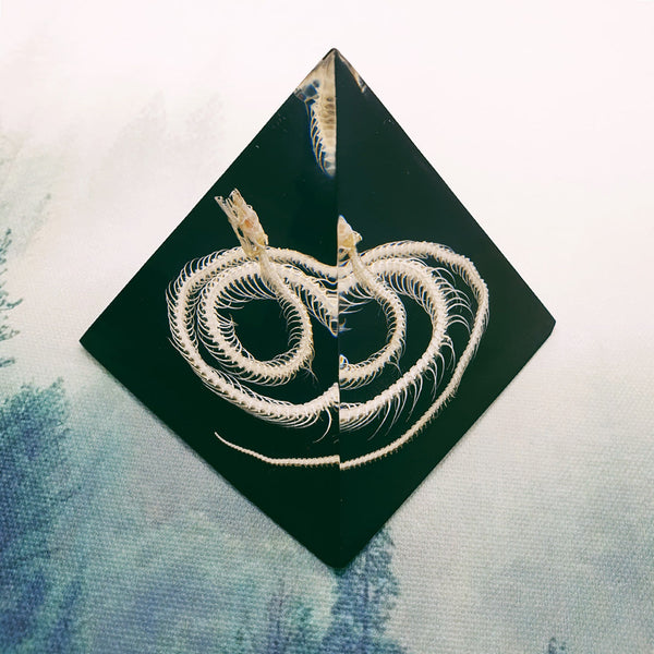 Snake Skeleton Embedded in Resin Pyramid 85mm