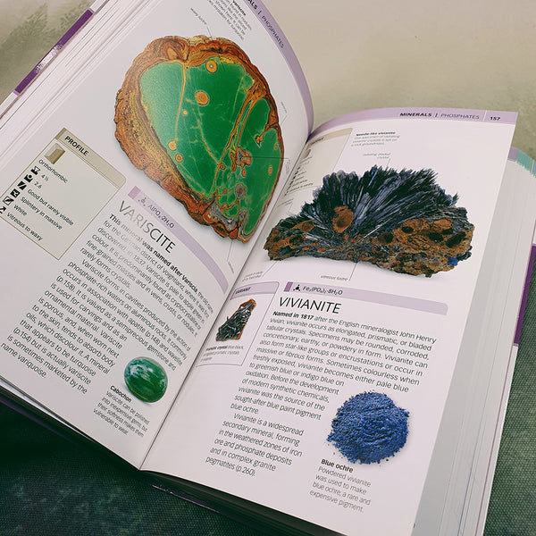 Natures Guide: Rocks & Minerals