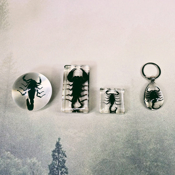 Resin Scorpion Pack #1 ($100 Value)