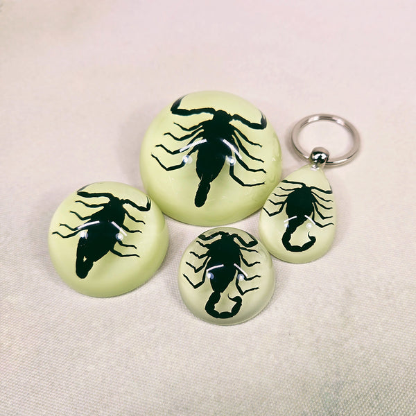 Resin Scorpion Pack #2 ($100 Value)