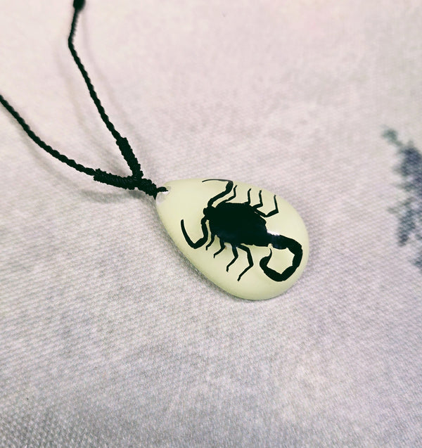 Black Scorpion in Glow-In-The-Dark Resin Teardrop Necklace