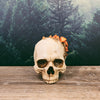 Mushroom Growth Skull Sculpture