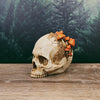 Mushroom Growth Skull Sculpture
