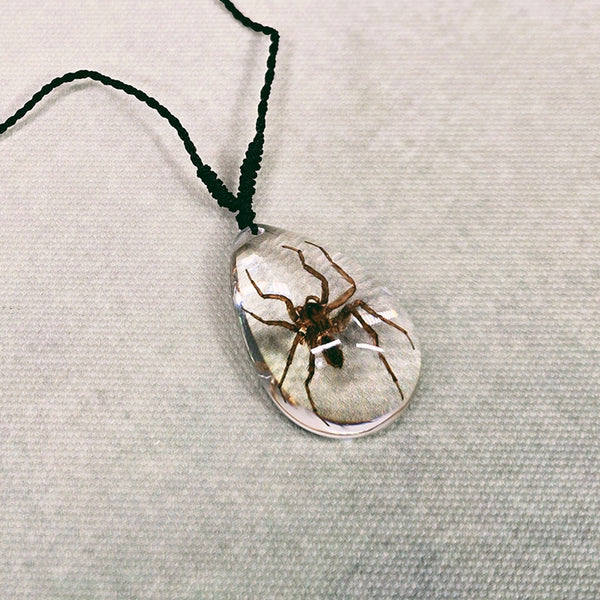 Spider in Clear Resin Teardrop Necklace