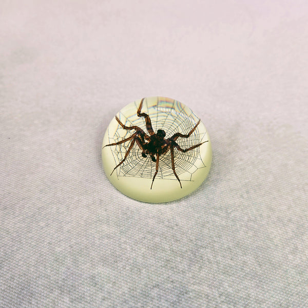 Spider & Web in 47mm Glow Resin Dome