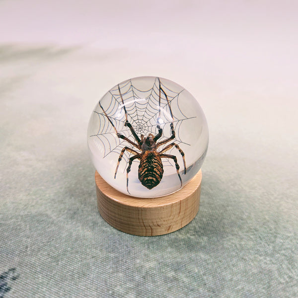 Spider & Web Embedded in Resin Globe on Stand