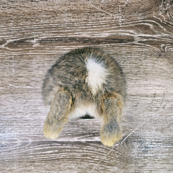 Taxidermy Bunny Butt Wall Plaque - Brown