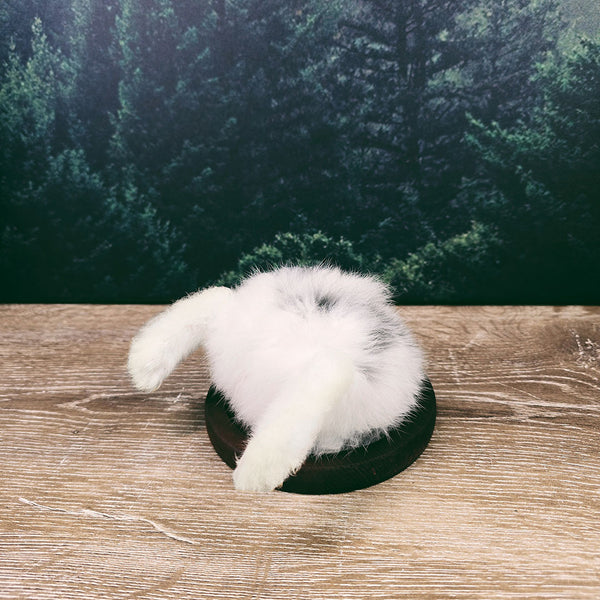 Taxidermy Bunny Butt Wall Plaque - White and Black