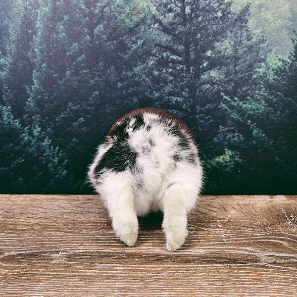 Taxidermy Bunny Butt Wall Plaque - Black and White