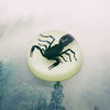 Black Scorpion in 63mm Glow Resin Dome