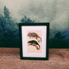 Naturalist Print in 17x22cm Black Frame | Reptiles/Amphibians