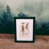 Naturalist Print in 17x22cm Black Frame | Reptiles/Amphibians