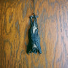 Javan Mastiff Bat (Otomops Formosus) - Hanging