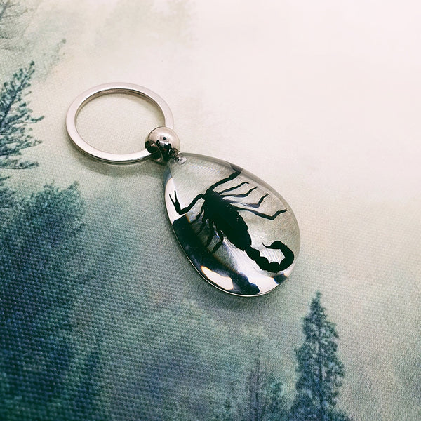 Black Scorpion Embedded in Clear Resin Keyring