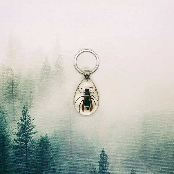 Yellow Jacket Wasp Embedded in Resin Keyring
