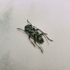 Longhorn Beetle (Tmesisternus Ochraceosignatus) Dehydrated Specimen
