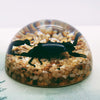 Black Scorpion + Pebbles Embedded in Resin Dome 60mm