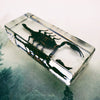 Black Scorpion Embedded in Resin 110mm