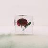 Pressed Rose Embedded in 50mm Resin Cube