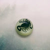 Scorpion Glow Dome Resin Fridge Magnet
