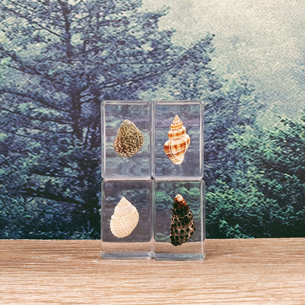 Lucky Dips + Mystery Boxes