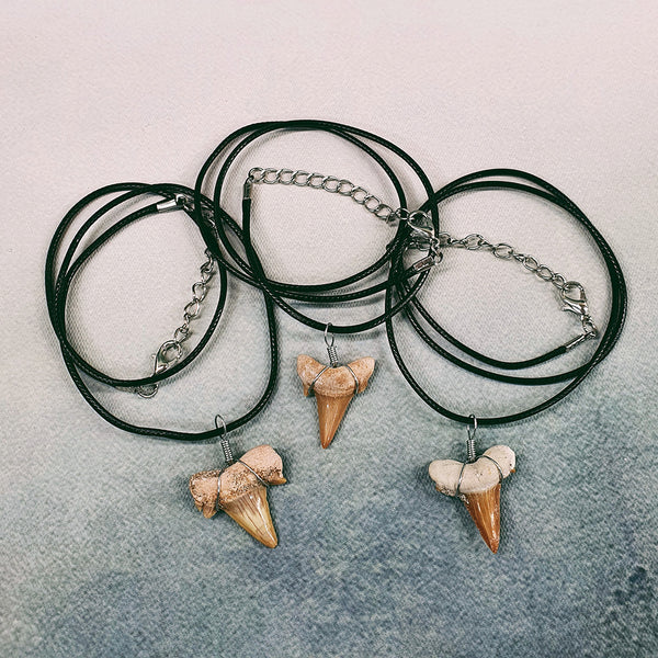 Shark Tooth Pendant Necklace