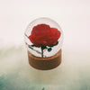 Rose Embedded in Resin Globe on Stand