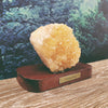 Citrine Druze Specimen on Wooden Stand